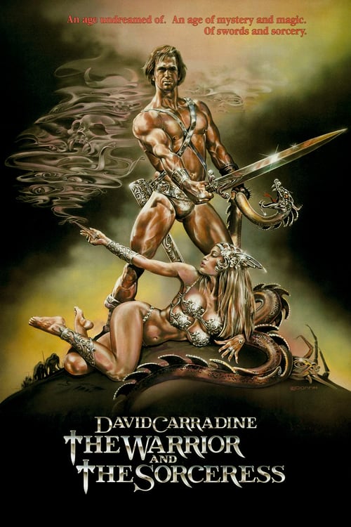 Descargar El guerrero y la hechicera 1984 Blu Ray Latino Online
