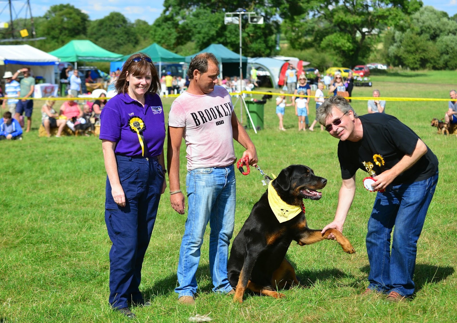 Dogs Trust Dogs Trust Loughborough Summer Show 2014