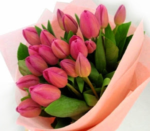 Bunga Tulip Untuk Sang Kekasih