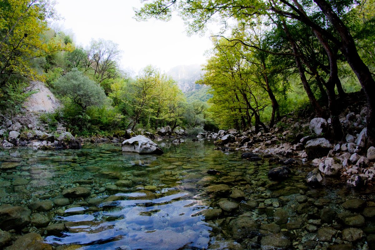 Πηγές του Βίκου Πηγές του Βίκου