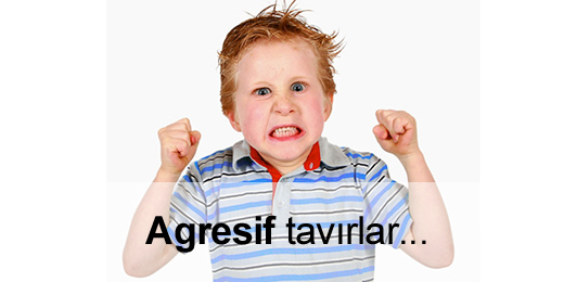 Agresif ve Şiddetli Tutumlar ebeveynlik sorunları çocuğum agresif