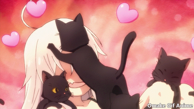 Cats  Anime Amino