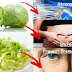 Try To Include Lettuce On Your Diet Plan And See What Happens After Consuming It!