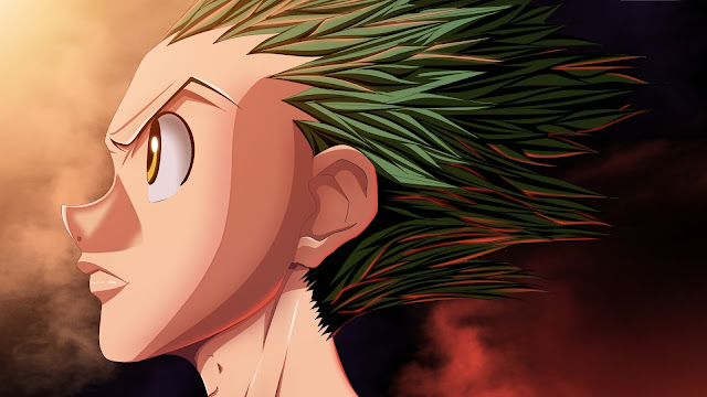 wallpaper hunter x hunter gon face-head