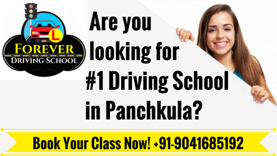 Driving School in Panchkula