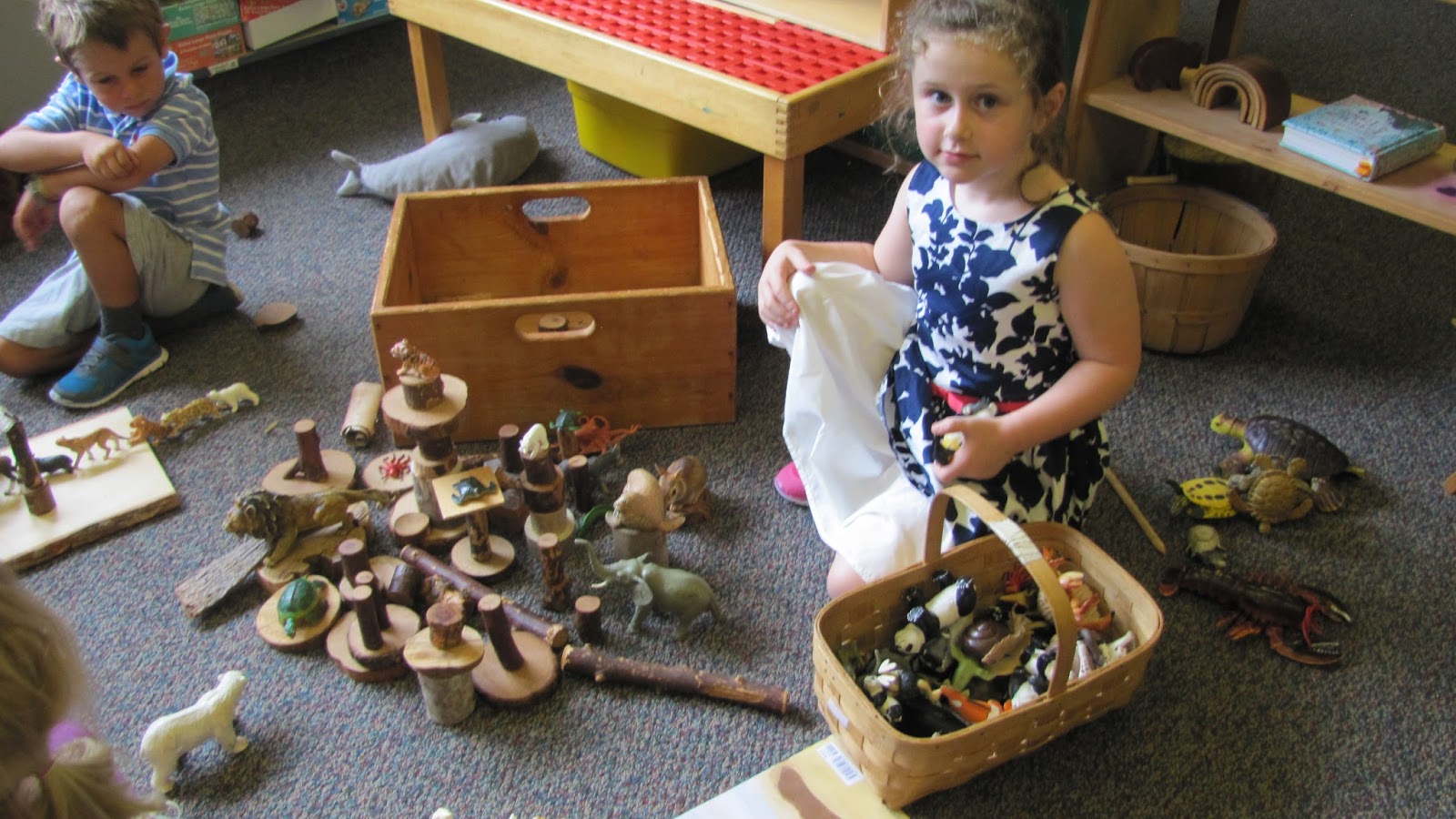 Ms. Mitchell's Kindergarten: 2015