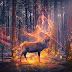 Fantasy Deer In Photoshop