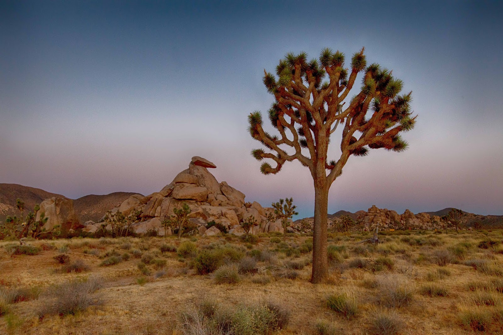 Spare Parts and Pics Cap Rock and Gram Parsons