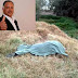 Matan a ex alcalde de Tepetlaoxtoc en el Edoméx