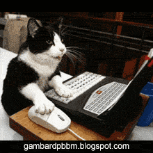 Gambar dp bbm lucu bergerak Gambar Dp Bbm Gambar dp bbm lucu bergerak Gambar Dp Bbm
