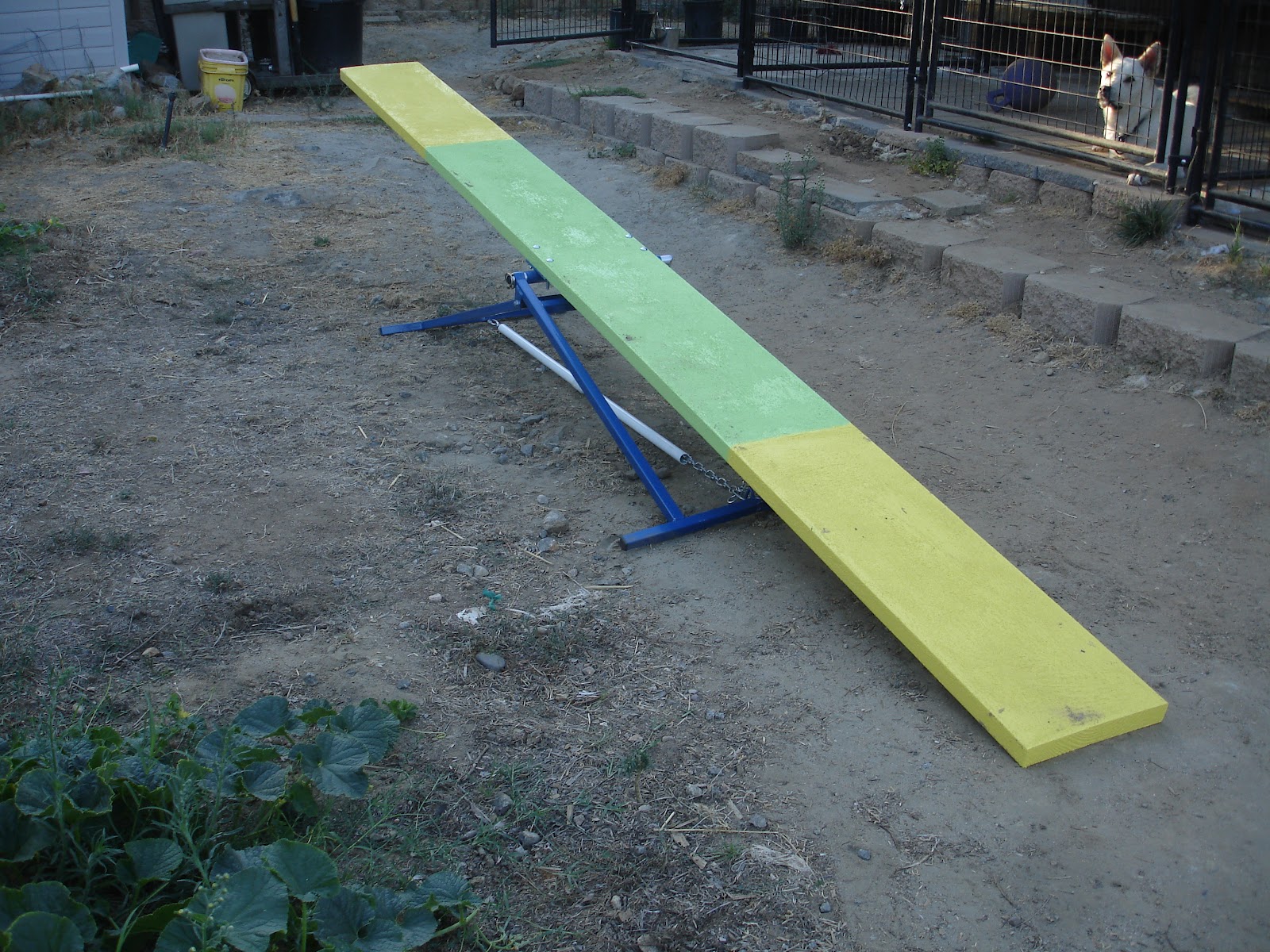 The Girl with the Gae Dog Agility Equipment Teeter Totter