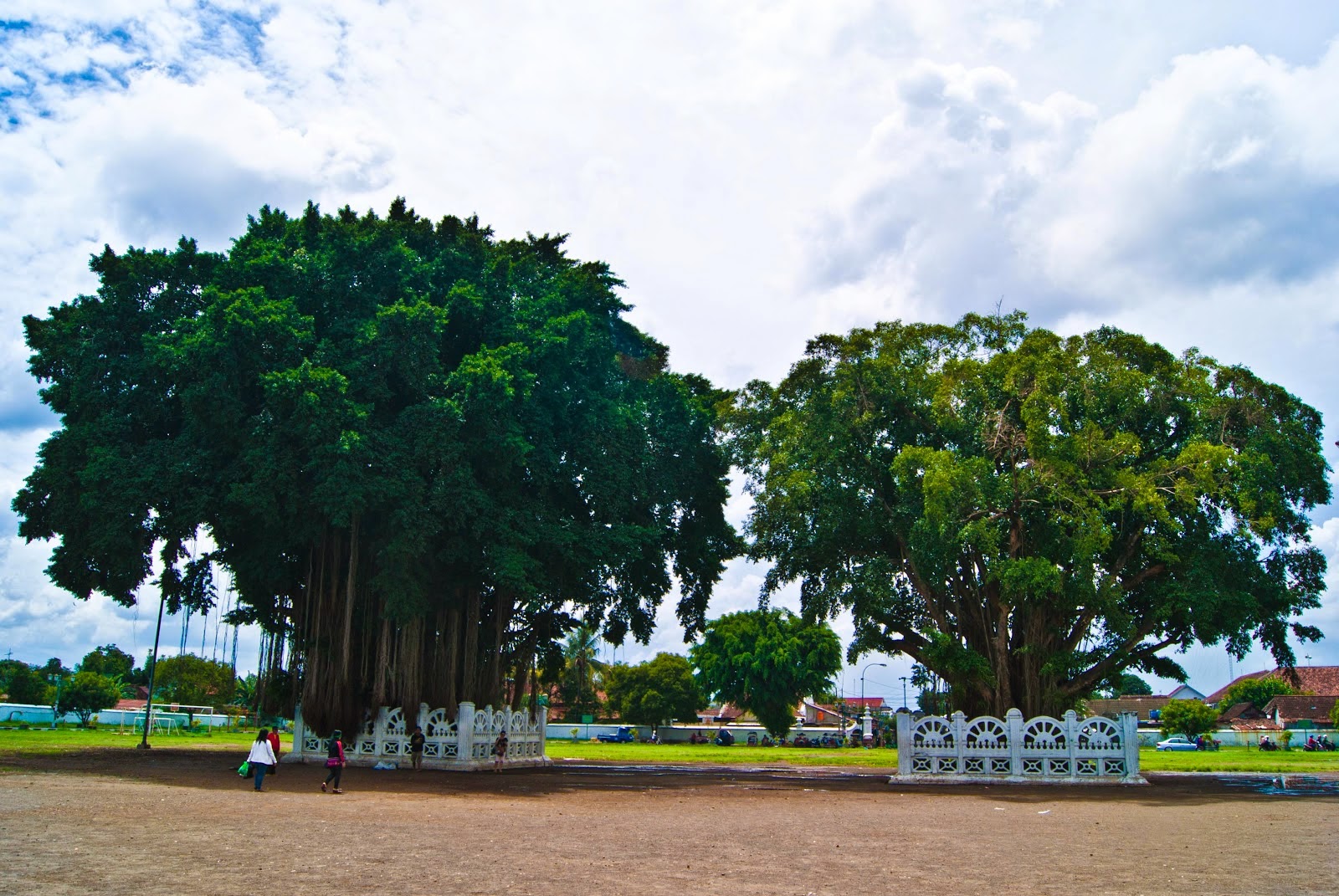 Misteri Pohon Beringin Kembar Di Alun-Alun Yogyakarta