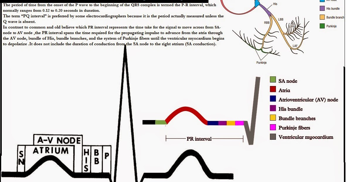 Dr nabil paktin s cardiology blog 