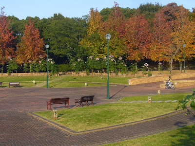 寝屋川公園 中央広場