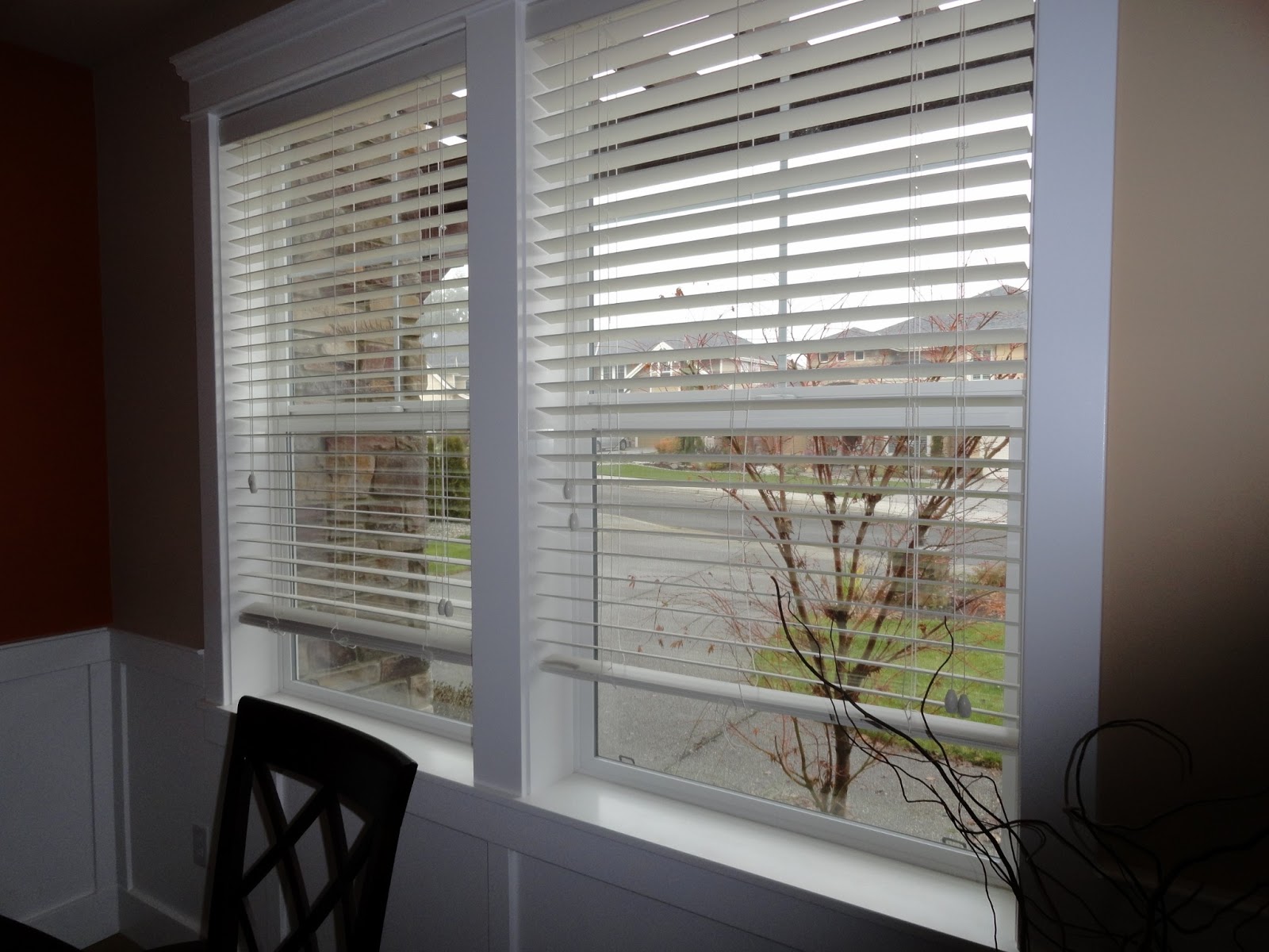 Shutters vs blinds