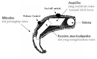 SPESIAL EDUCATION: Cara Kerja Alat Bantu Dengar