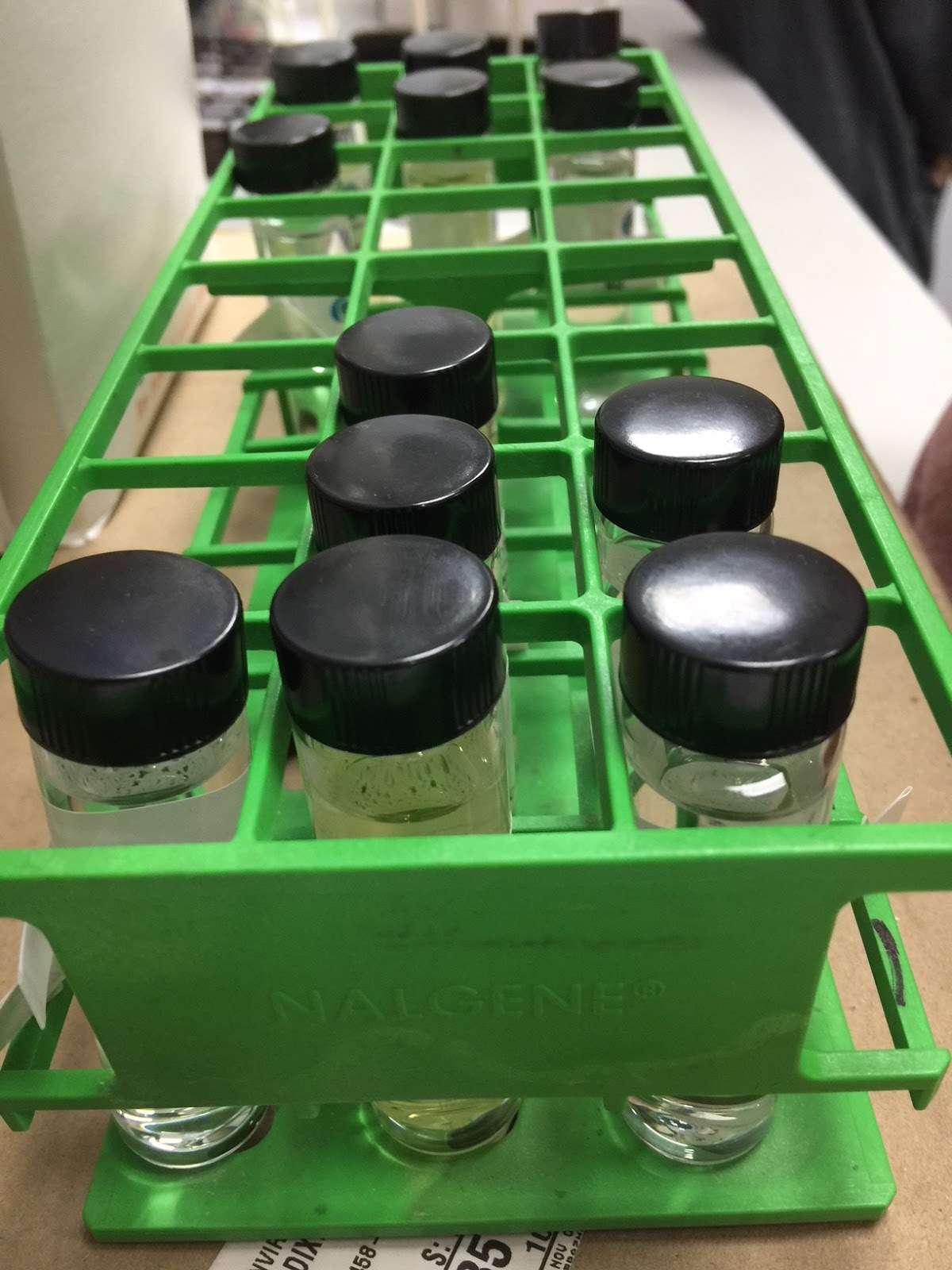 FAU Libraries Jupiter Science Blog Field Biology class takes a tour