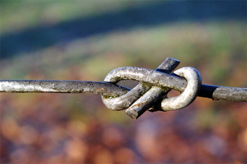 Nerdy Girl Nidelva Soapmakers & Crafts