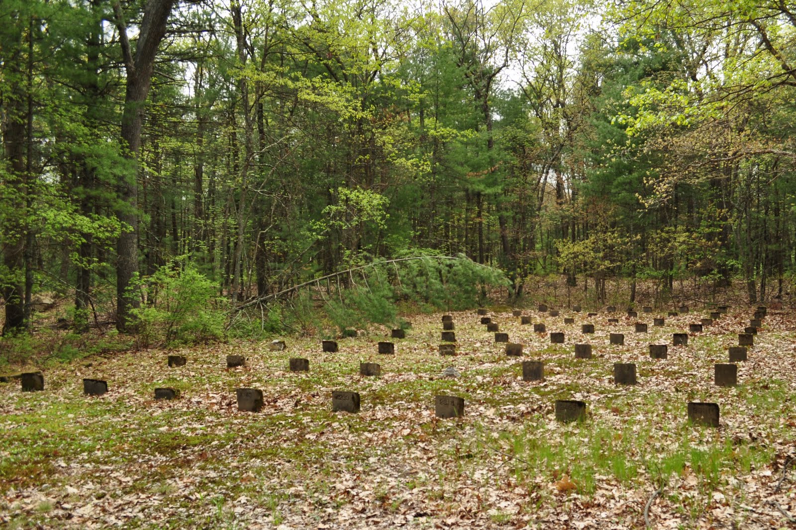 The Reversed View of Massachusetts Foxborough State Hospital Cemetery