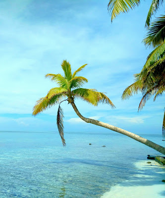 Remax Vip Belize: A very famous photo op on Silk Caye