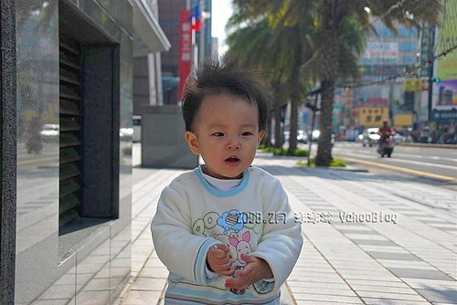 Nikon D80|Nikon單眼數位相機摸索學習