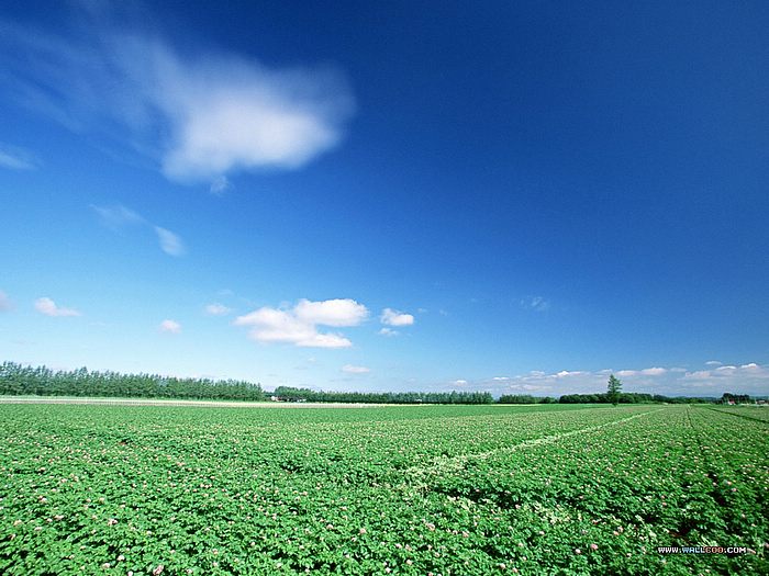 Funny Pictures Gallery: Blue sky clouds wallpaper, blue sky wallpaper