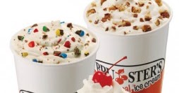 brusters sugar free flavors