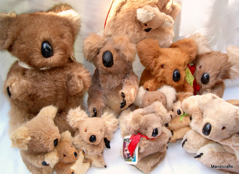 koala is the australian teddy bear