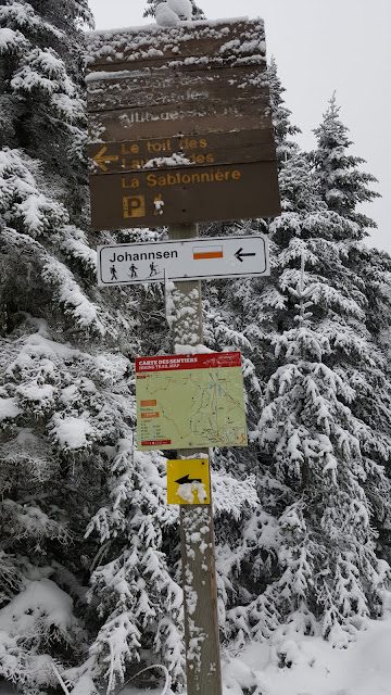 Au sommet du Johannsen