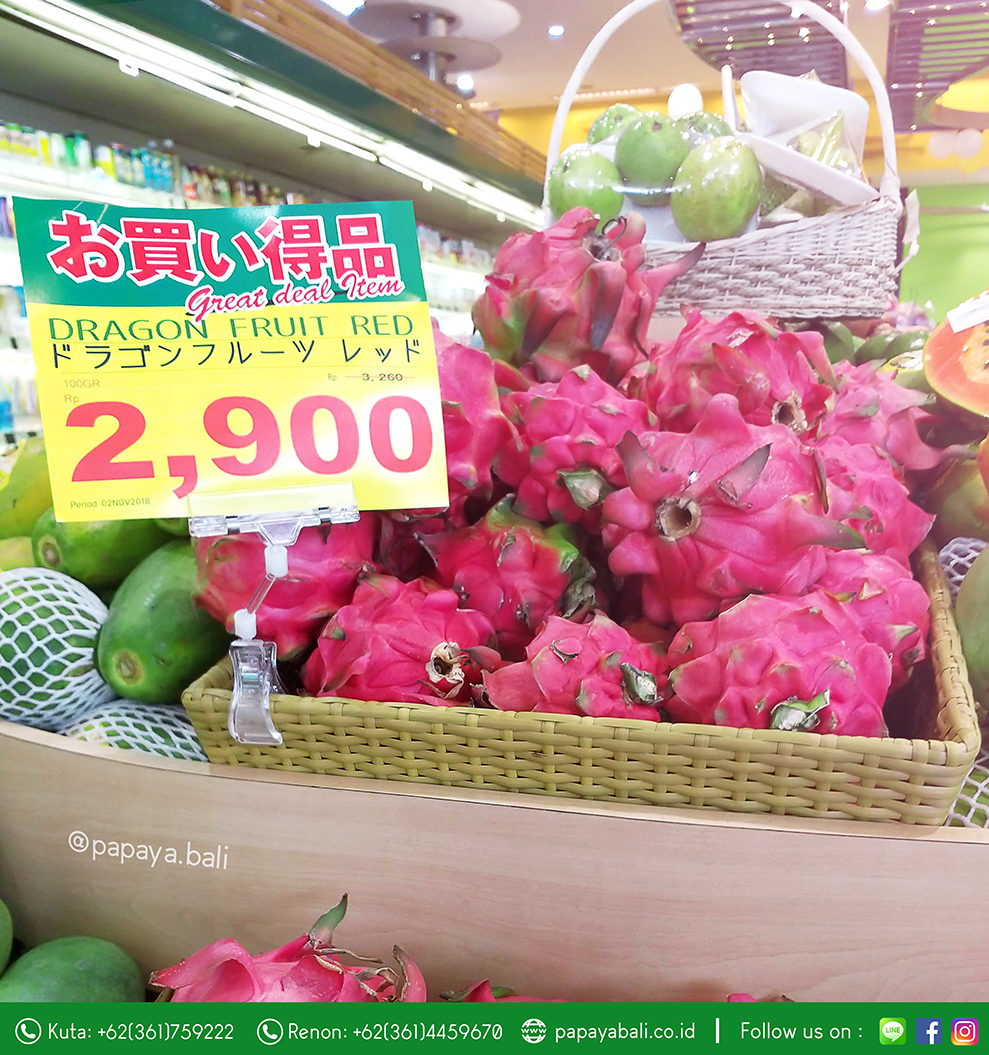 Papaya Bali Daily promo PAPAYA FRESH GALLERY BALI