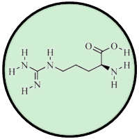 L-Arginine Hydrochloride