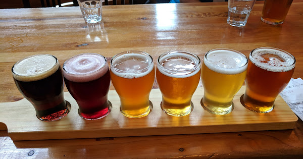 The Best Nelson Craft Beer on a Trip to New Zealand