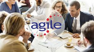 Agile Professional Certification Preparation (PMI-ACP) Agile Professional Certification Preparation (PMI-ACP)