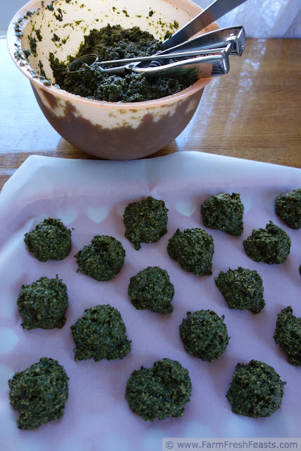 http://www.farmfreshfeasts.com/2012/09/processing-pile-of-pesto-before-frost.html