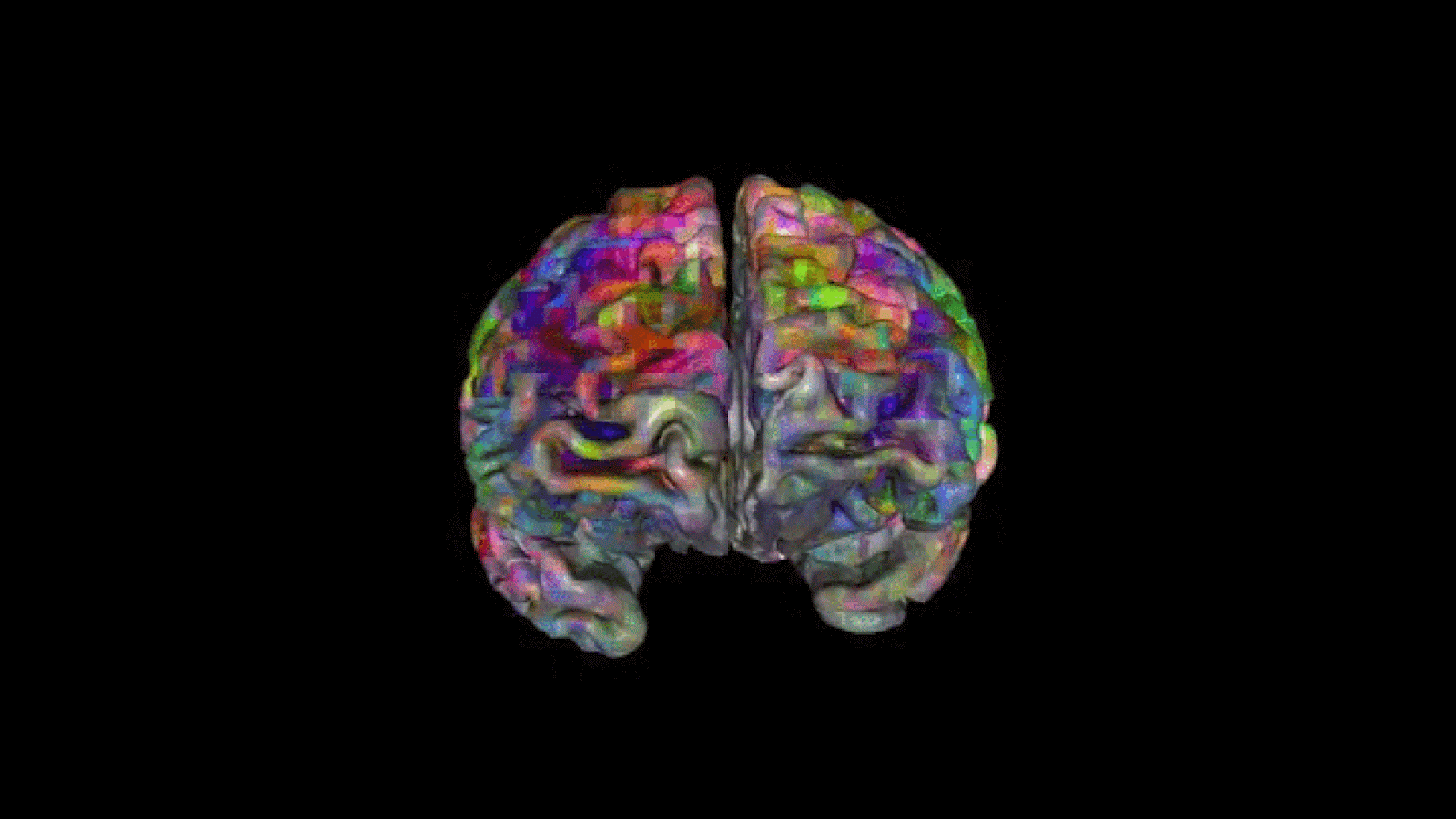 Brain in my head steam фото 57
