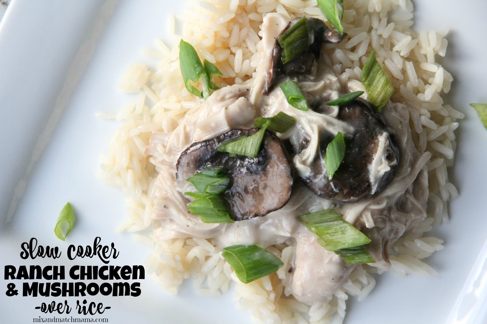 Rice Cooker Chicken and Mushroom Rice