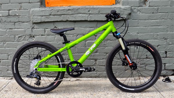 Spawn Cycles Savage 2.0: 20” Bike