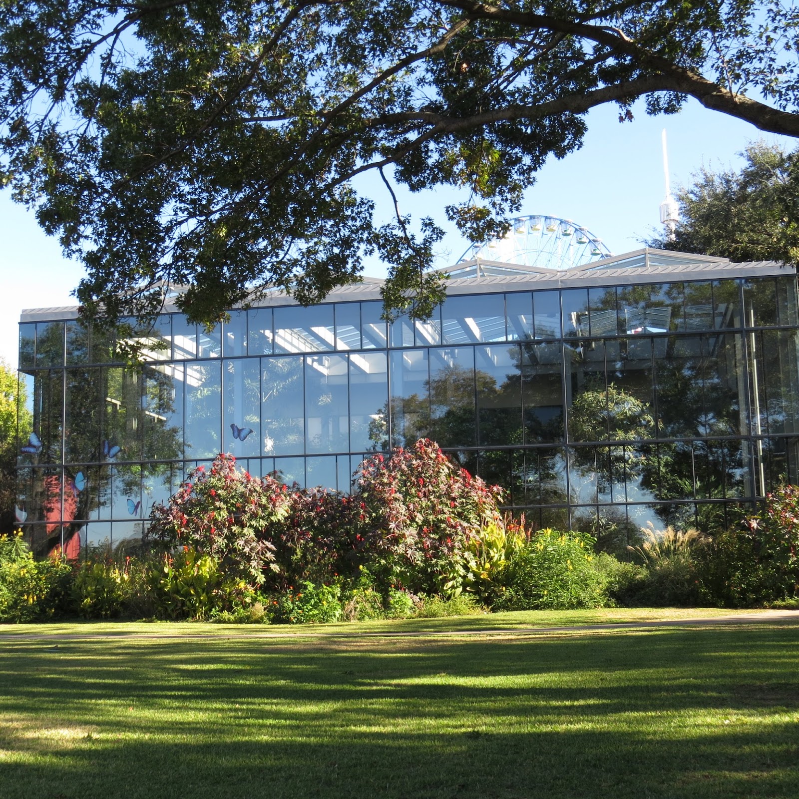 Navasota Ranch Butterfly House, at the Texas Discovery Gardens, Dallas