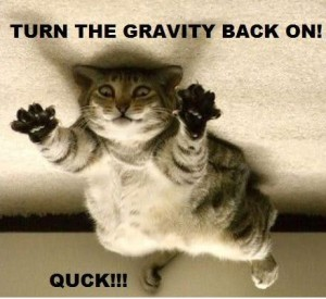 Funny Animals With Funny Sayings Funny Sayings Tumblr About Love For Kids And Pictures About Friends About Life And Quotes Wallpapers About Work Images Funny Animals With Funny Sayings Funny Sayings Tumblr About Love For Kids And Pictures About Friends About Life And Quotes Wallpapers About Work Images