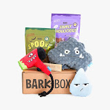 Monthly Bark Box Fun!