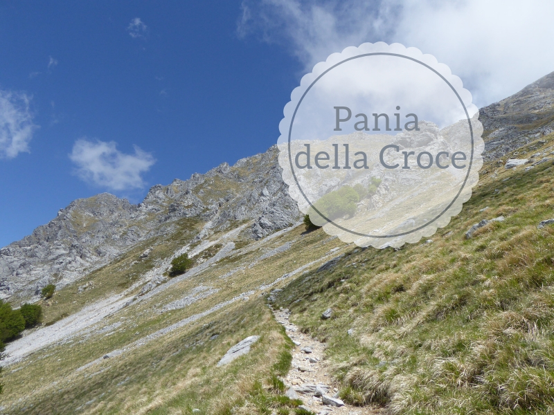 2 Euro (200° Anniversario Dell'ascesa Al Trono Di Onorato V Di Monaco - Foto 7