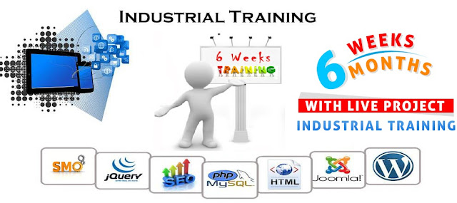 Industrial Training In Chandigarh