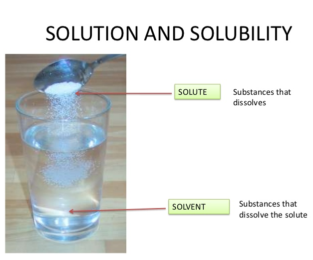 March 2017 Educational Revolution