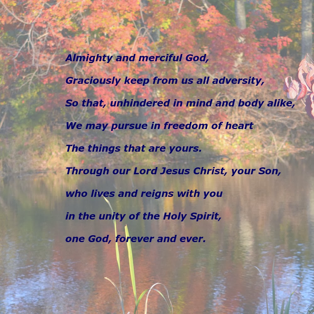 Daily Homilies Thirtysecond Sunday in Ordinary Time