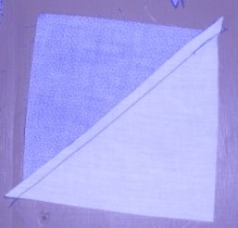 This image has an empty alt attribute; its file name is DSCN2244.JPG