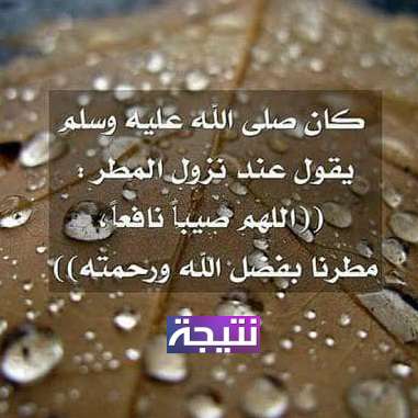 دعاء الرسول عند نزول المطر