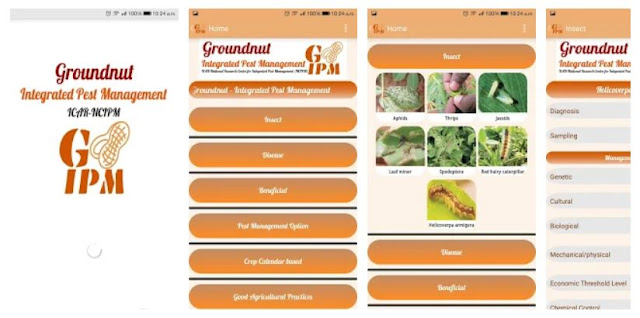 Download Groundnut-IPM Mobile App by ICAR
