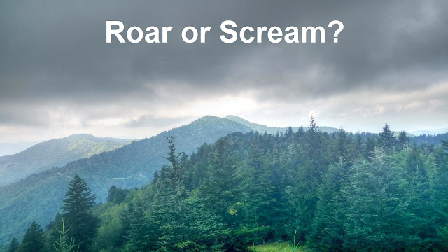 Terrifying Sounds in the Forests of the Great Smoky Mountains