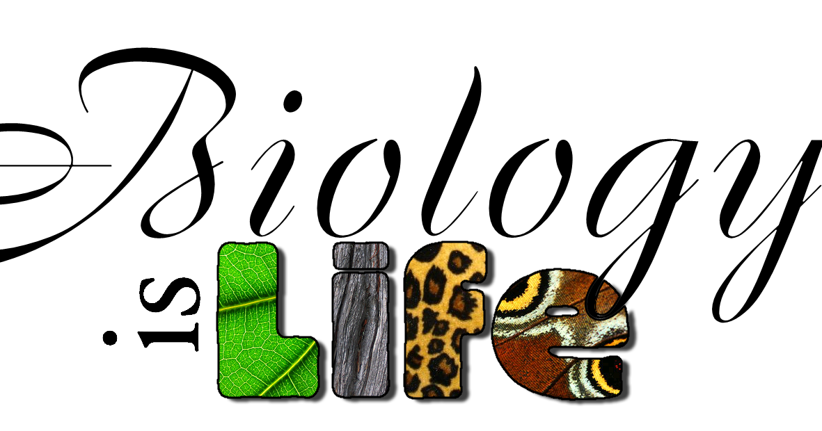 Биология аватарка. Биология буквы. Biology надпись. Biology надпись. Биология надпись.