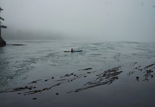 Bullhead Kelp and twisty currents in canoe pass WA